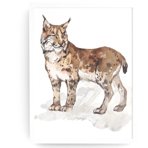 Other - Wall Art Watercolor Lynx Bobcat Illustration Print Poster Unframed